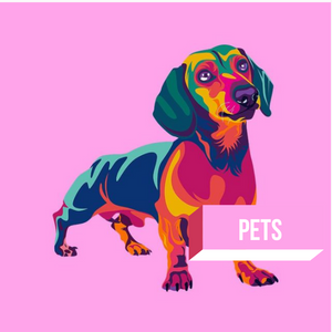 Paint your Pet | Bulk Order 10+ Designs